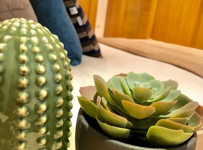 Oupen De Dor - Virgenes El Pilar Apartamento *